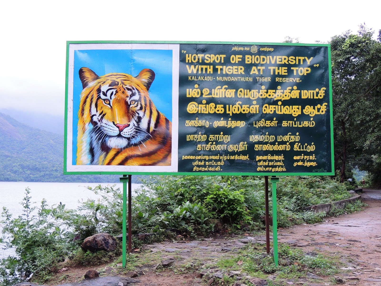 Tirunelveli Kalakad Mundanthurai Tiger Reserve Pravin Travels 